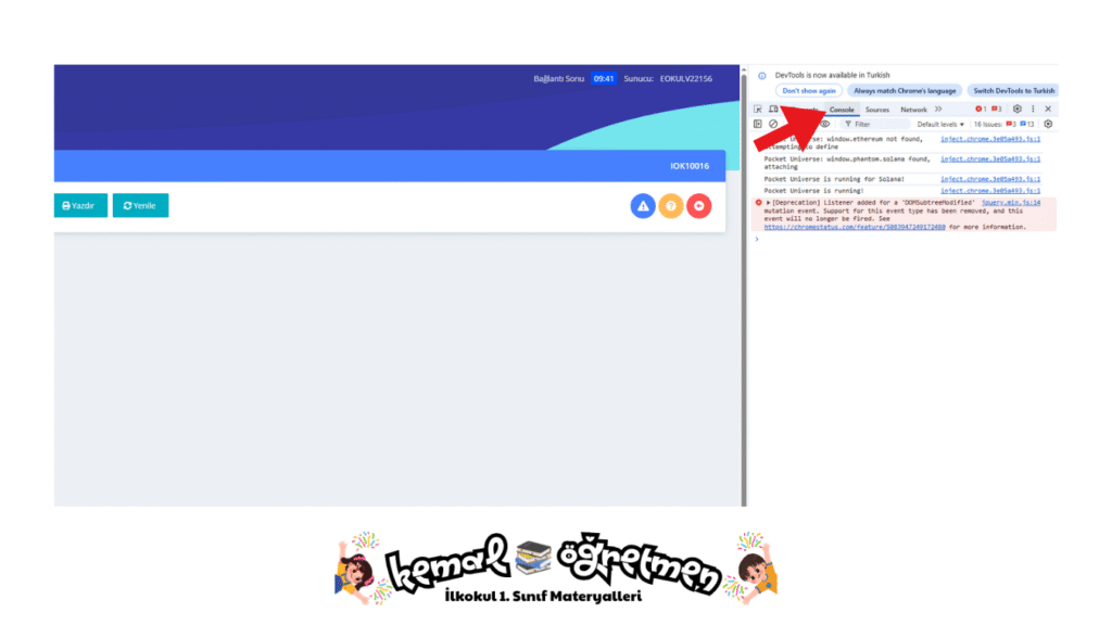 hızlı gelişim düzeyi girişi 2