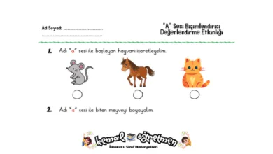 a sesi süreç değerlendirme